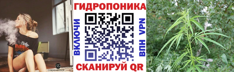 где можно купить   МЕГА ссылка  Каннабис OG Kush  Солигалич 